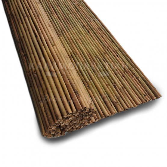 bamboo olokliro